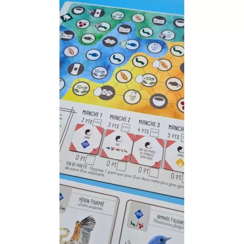 Matagot Wingspan - Asie 4 Matagot Wingspan - Asie – Image 2